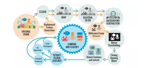 海洋生物检测新方法 基于视觉数据自动识别与分析技术